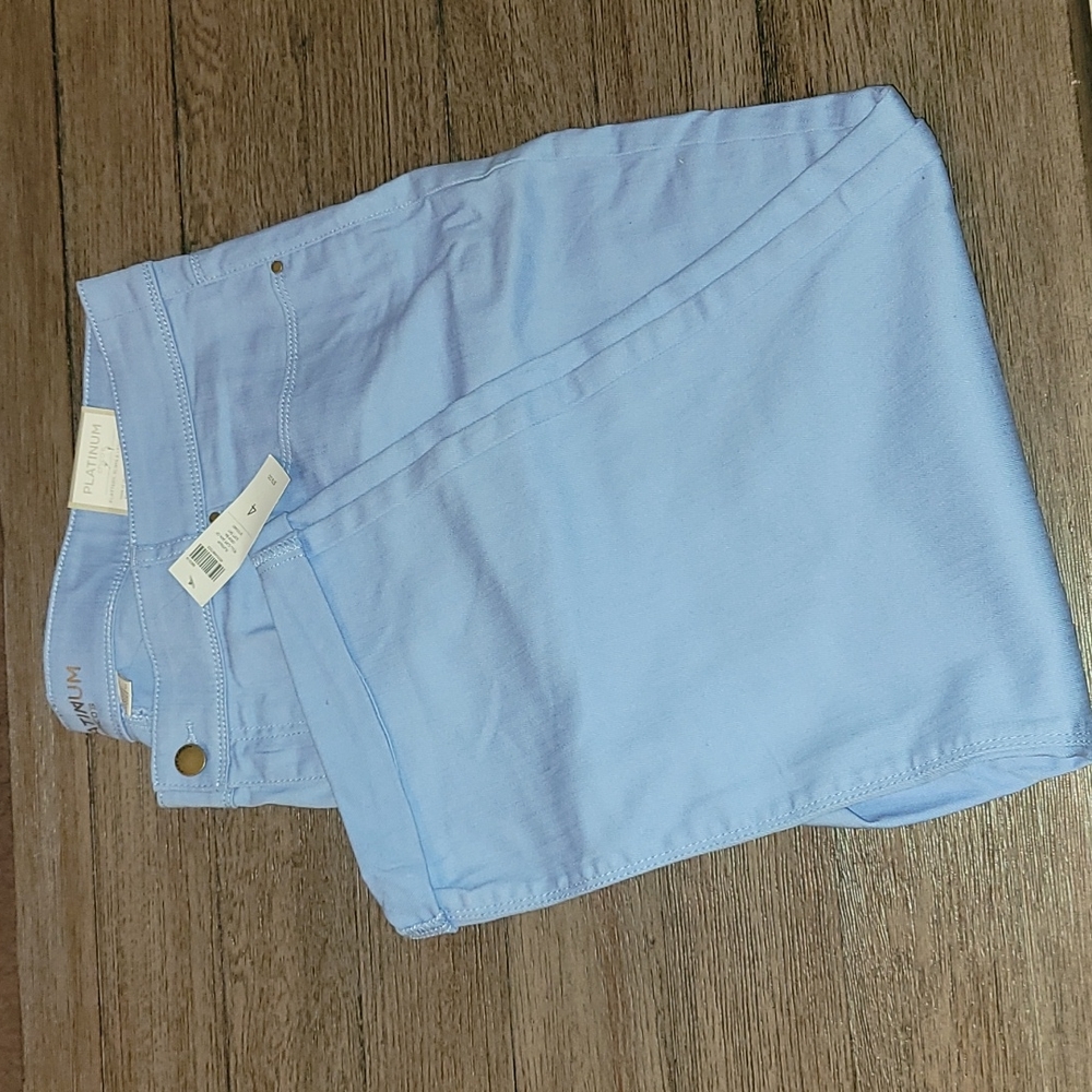 Size 4 Platnium Chicos pants